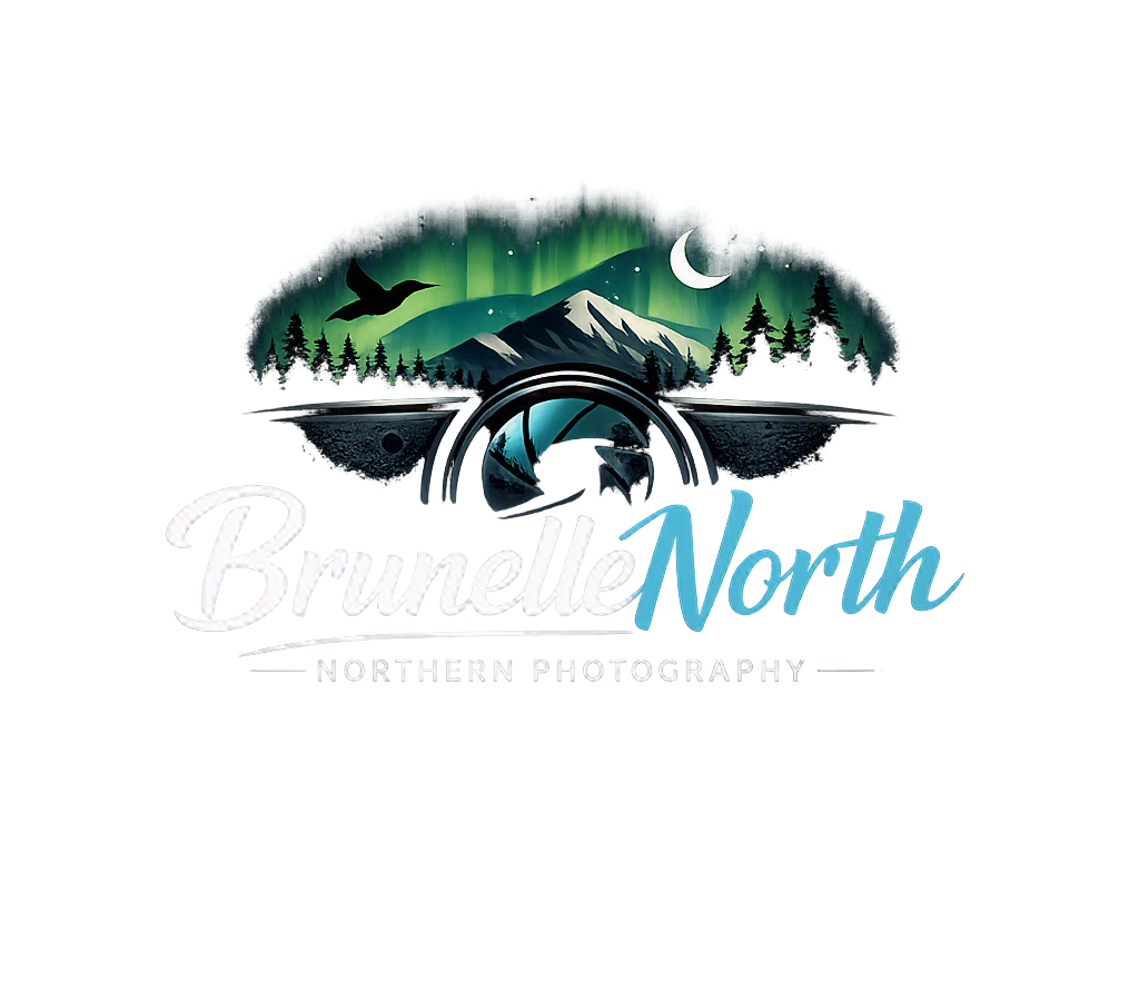 BrunelleNorth Logo